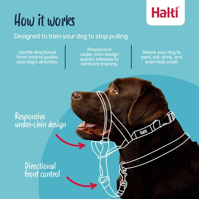 The Company Of Animals - The Company Of Animals Company of animals halti headcollar zwart