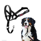 The Company Of Animals - The Company Of Animals Company of animals halti headcollar zwart