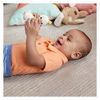 Fisher price bijt rammelaar eend