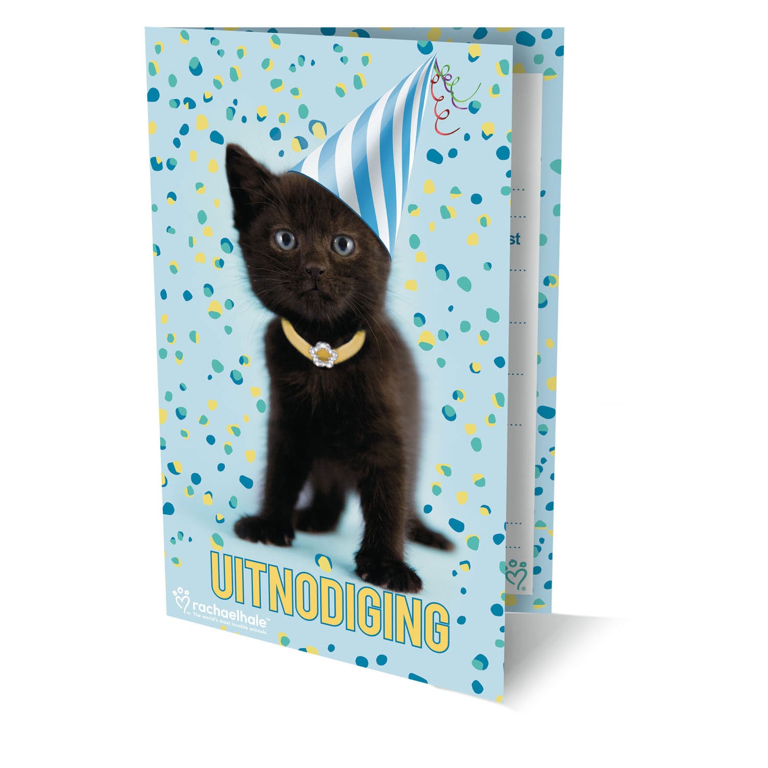- Uitnodigingen Rachel Hale Kat 6 stuks