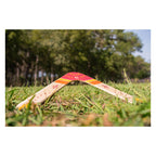 BS Toys - boomerang
