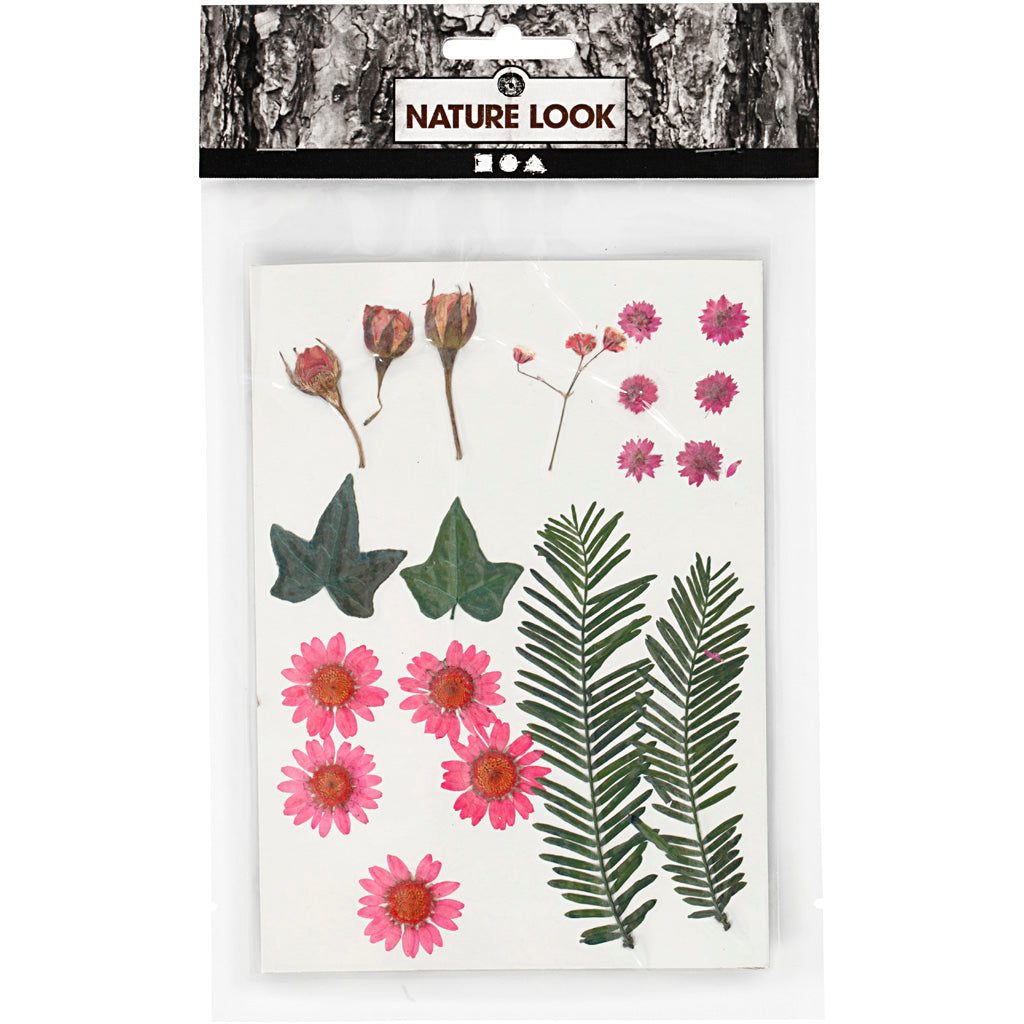 Creativ Company - Creativ Company Https://www.cchobby.nl/gedroogde-bloemen-en-bladeren-ca-19-stuk-lichtrood-1-doos