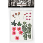 Creativ Company - Creativ Company Https://www.cchobby.nl/gedroogde-bloemen-en-bladeren-ca-19-stuk-lichtrood-1-doos