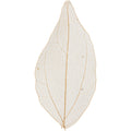 Creativ Company - Creativ Company Https://www.cchobby.nl/skeleton-leaves-l-4-5-8-cm-naturel-20-stuk-1-doos
