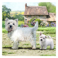 Craft buddy crystal art kaart west highland terriërs 18x18 cm