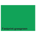 Quantore - Quantore Kopieerpapier fastprint a4 160gr grasgroen 50vel