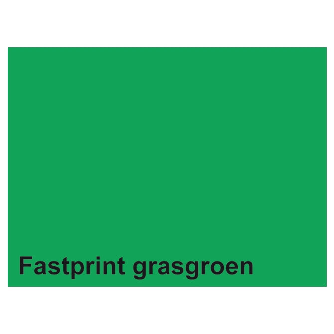Quantore - Quantore Kopieerpapier fastprint a4 160gr grasgroen 50vel