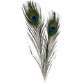 Creativ Company - Creativ Company Https://www.cchobby.nl/pauwenveren-l-25-30-cm-10-stuk-1-doos