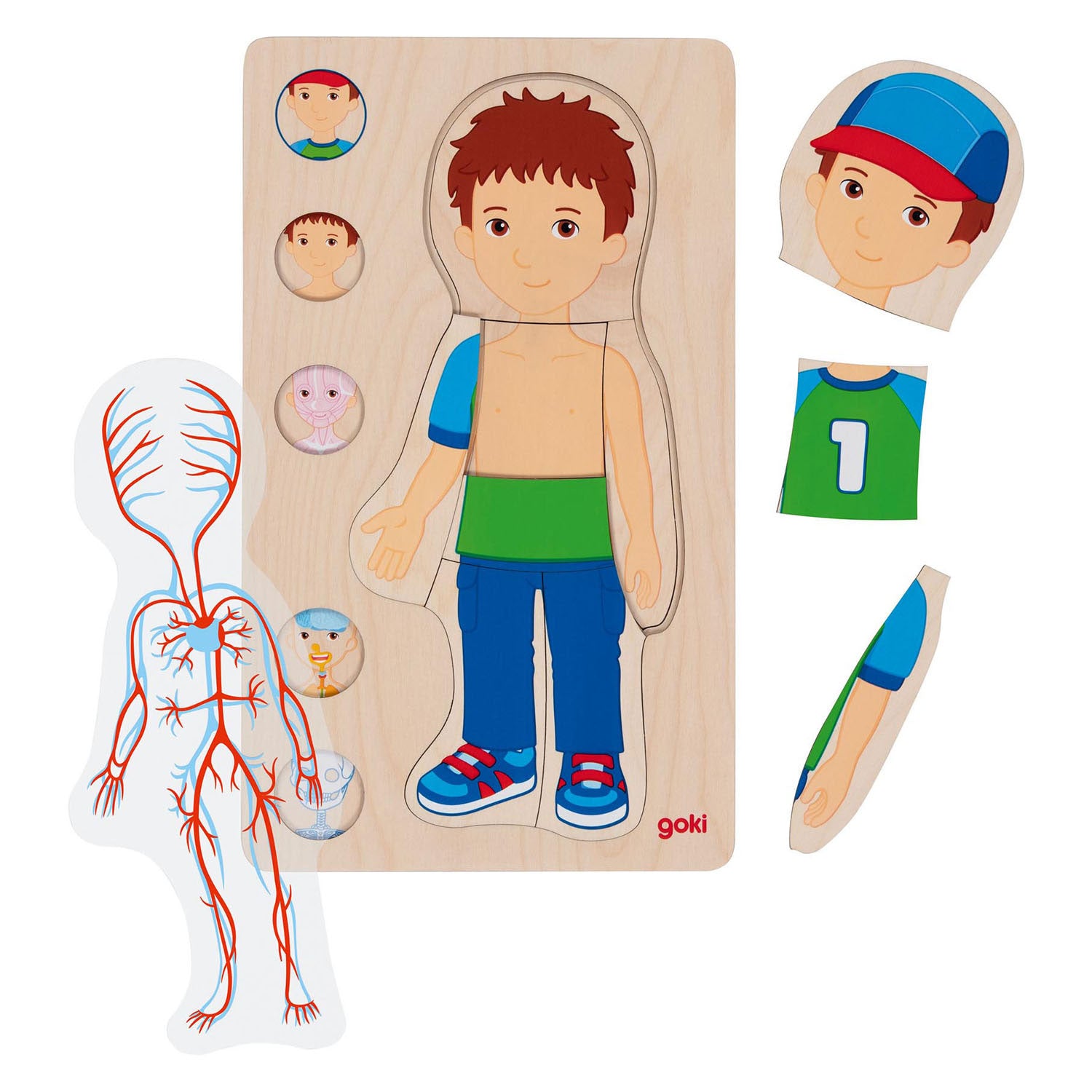 Goki - houten lagenpuzzel menselijk lichaam jongen 29st.