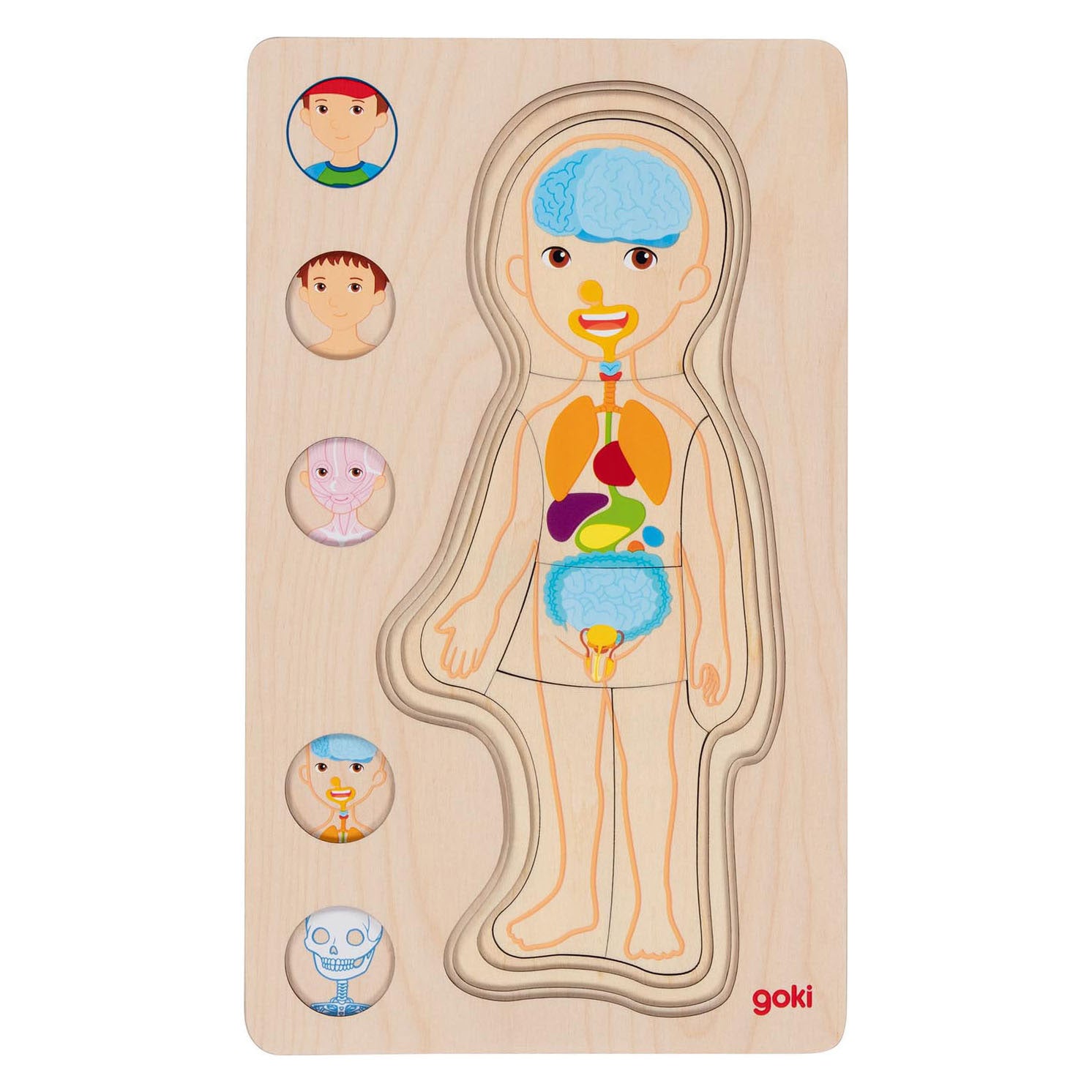 Goki - houten lagenpuzzel menselijk lichaam jongen 29st.