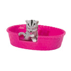 Evi Love - Evi Love dierenvriend poesjes