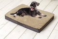 Sun garden buddy orthopedisch hondenkussen 79x60x8cm beige donkerbruin