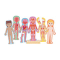Hape - Hape menselijk lichaam magnetische puzzel - 63dlg.