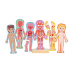 Hape - Hape menselijk lichaam magnetische puzzel - 63dlg.
