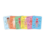 Hape menselijk lichaam magnetische puzzel - 63dlg.