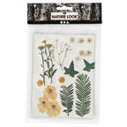 Creativ company gedroogde bloemen en bladeren off-white, 19dlg.