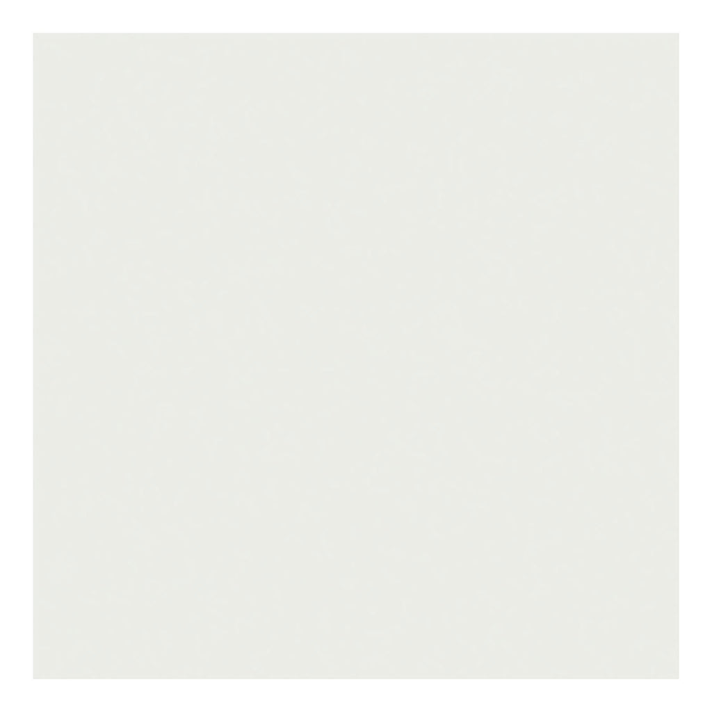 Creativ Company - Creativ Company Tissuepapier vel 50x70 cm 17 gr wit 10 vel/ 1 doos