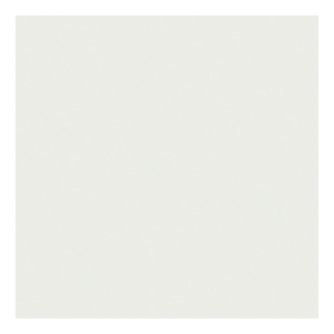 Creativ Company - Creativ Company Tissuepapier vel 50x70 cm 17 gr wit 10 vel/ 1 doos