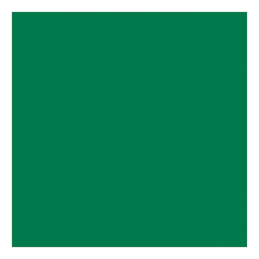 Creativ Company - Creativ Company Tissuepapier groen 10 vellen 14 gr 50x70cm