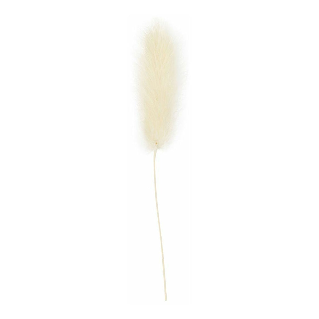 Creativ Company - Creativ Company Https://www.cchobby.nl/hazenstaart-gras-l-3-7-cm-6-stuk-1-doos