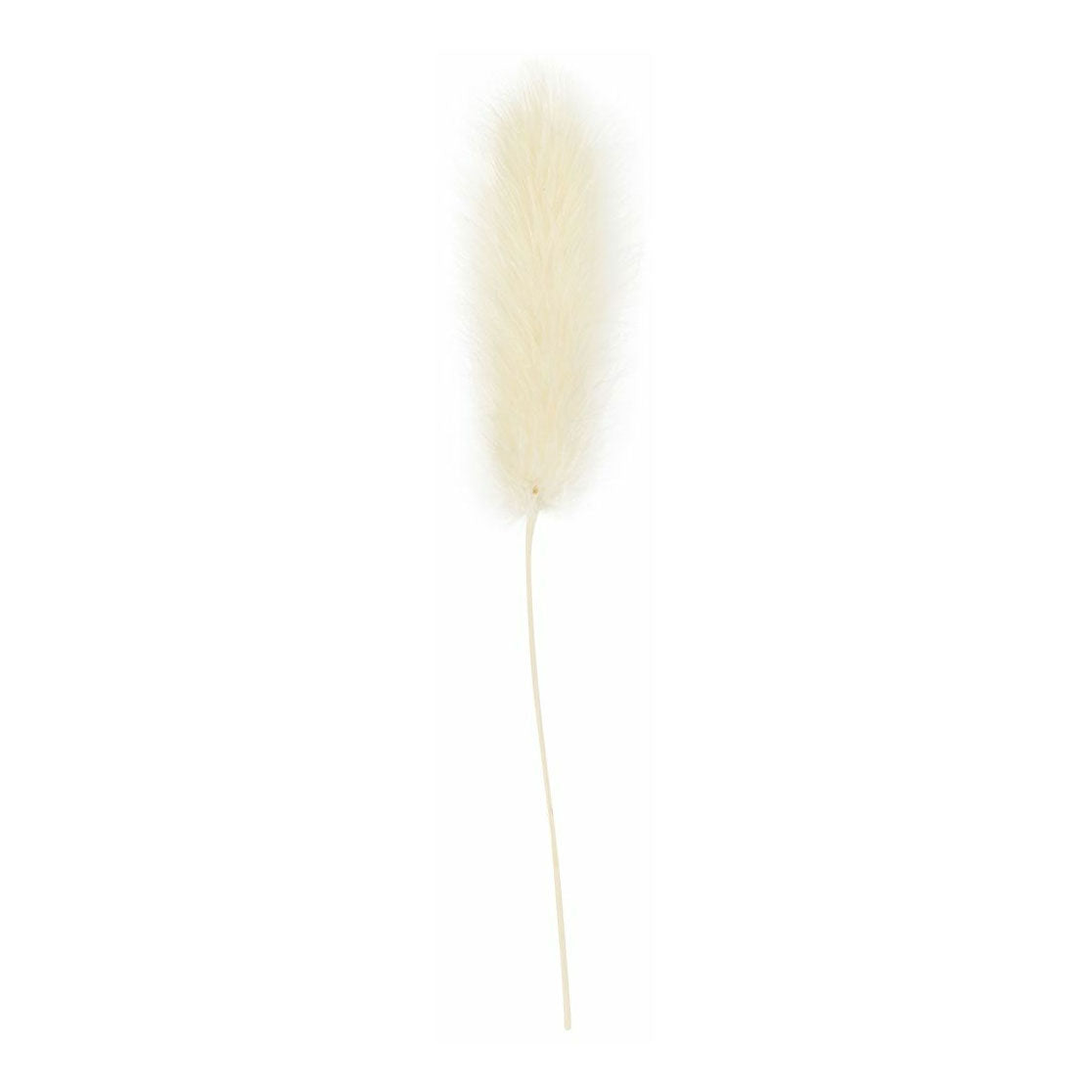 Creativ Company - Creativ Company Https://www.cchobby.nl/hazenstaart-gras-l-3-7-cm-6-stuk-1-doos