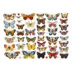 Creativ Company - Creativ Company Vintage plaatjes vlinders 2 vellen