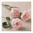 Creativ Company - Creativ Company Https://www.cchobby.nl/mini-hobbyset-crepepapier-anjers-crepe-verhouding-180-105-gr-1-doos