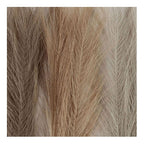 Creativ company https: www.cchobby.nl pampasgras-l-50-cm-licht-beige-lichtbruin-lichtgrijs-3-stuk-1-bol