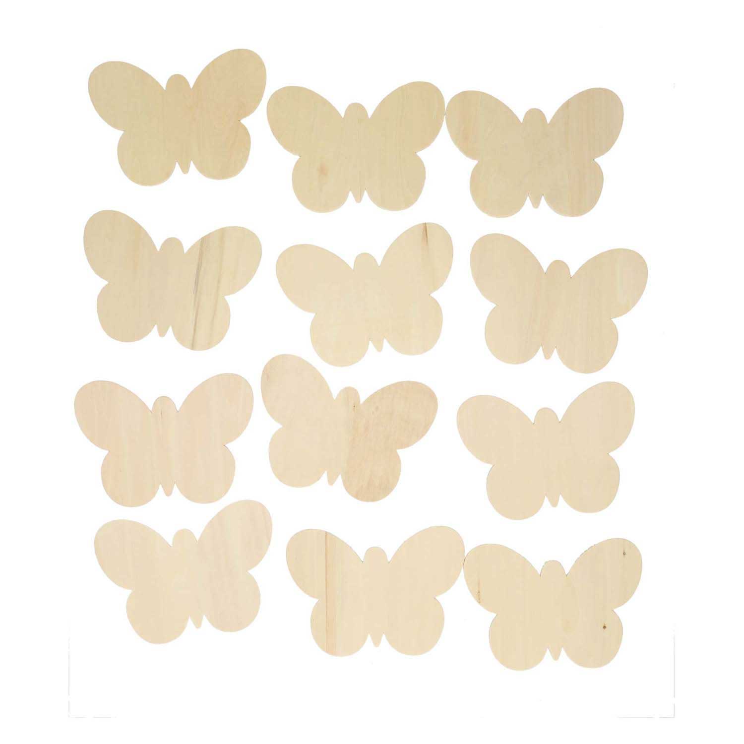 Colorations - versier je eigen houten vlinders set van 12
