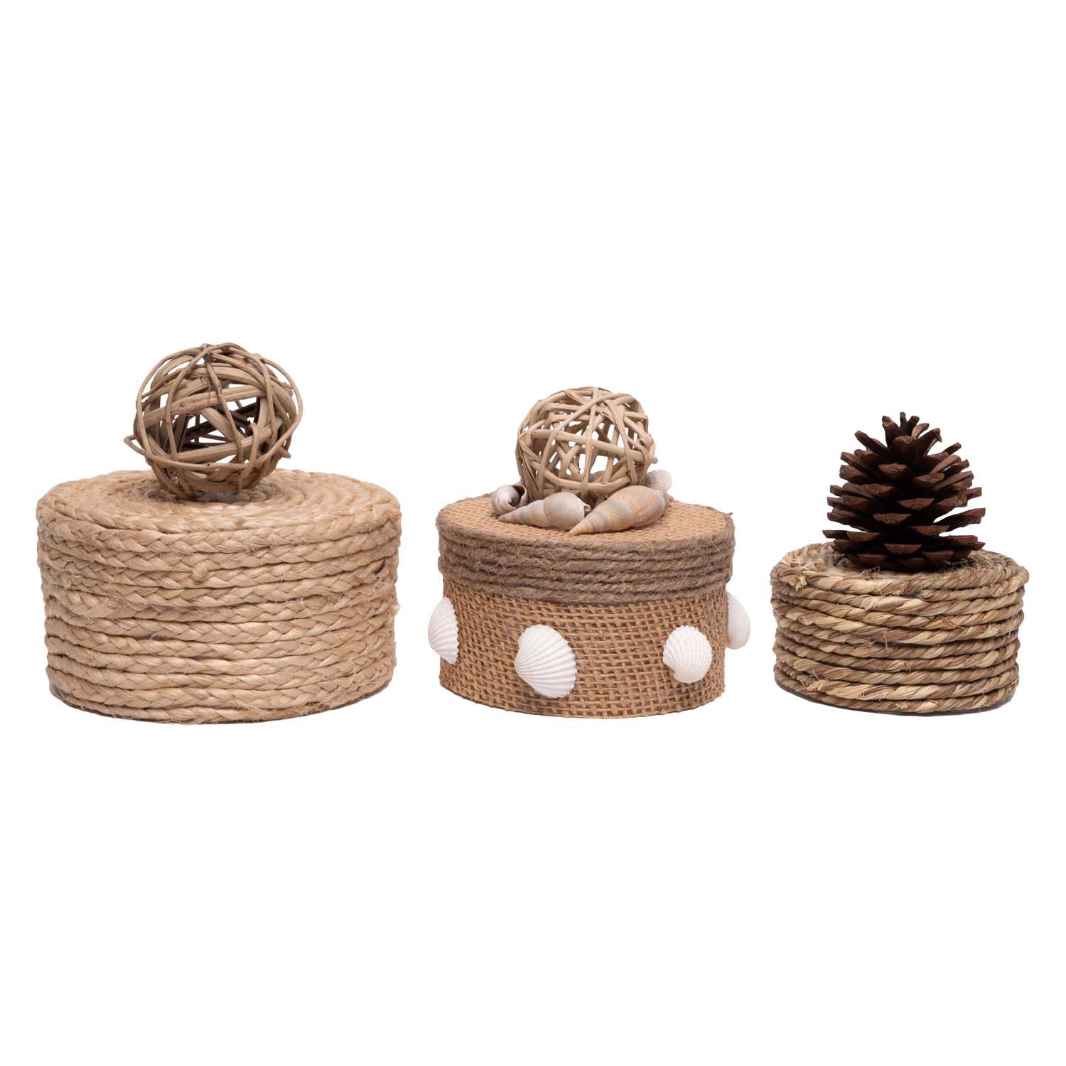 Colorations - papier-mache dozen rond 3st.