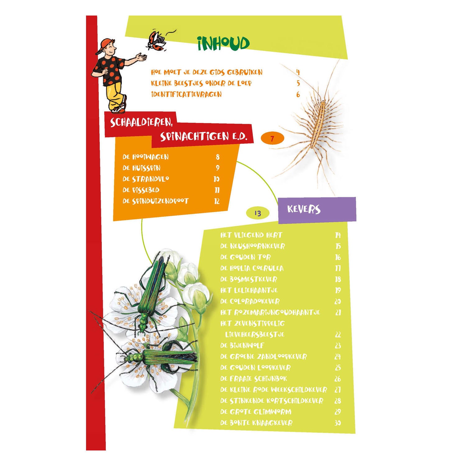 Deltas - Deltas de leukste insectengids voor kids
