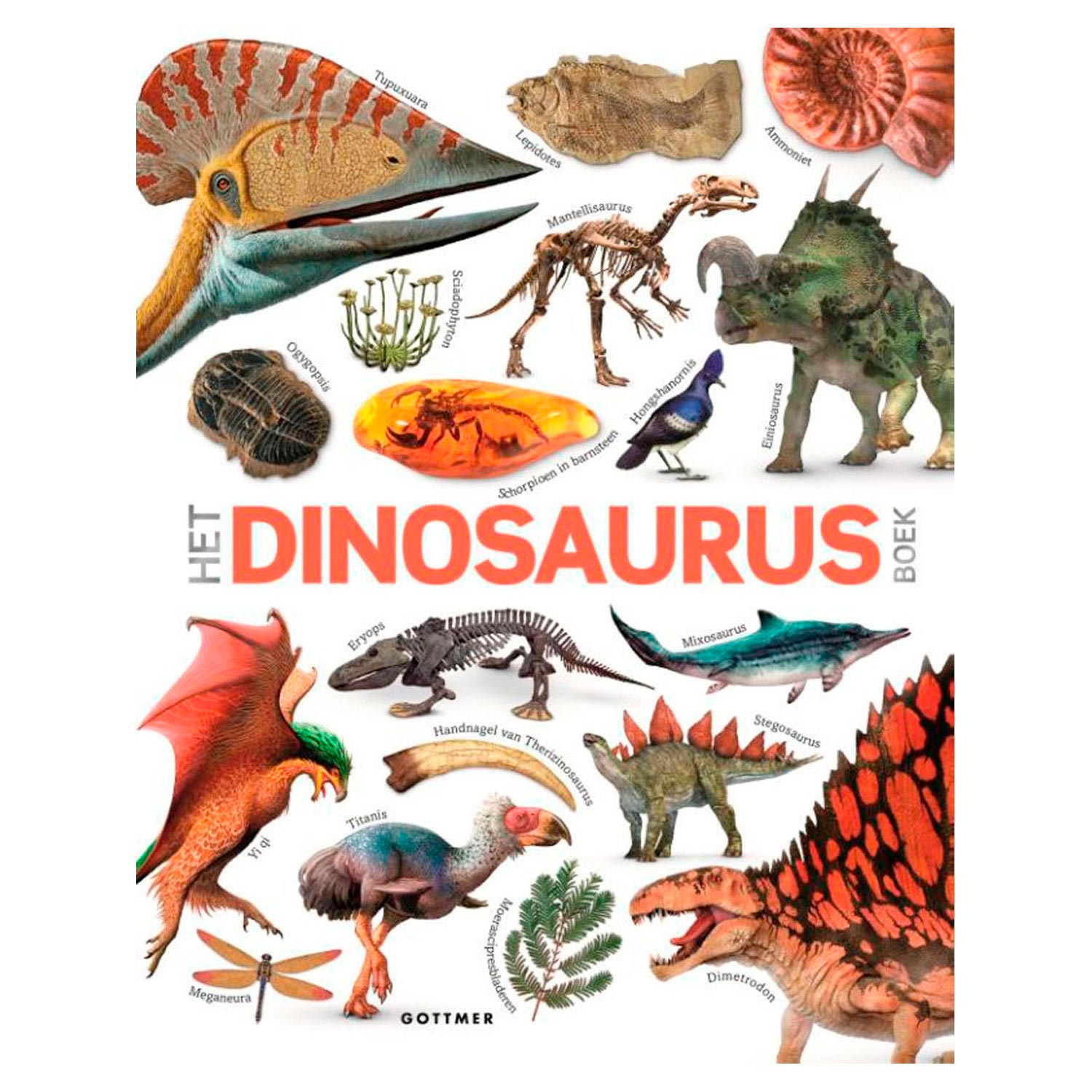 Gottmer uitgevers groep het dinosaurusboek