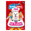 Centraal boekhuis de avonturen van rutger, thomas en paco 3 - het pretpark