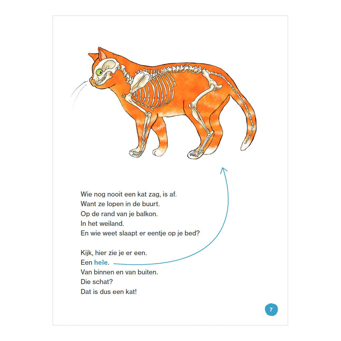 WPG Uitgevers - WPG Uitgevers Dat is een kat - avi e3