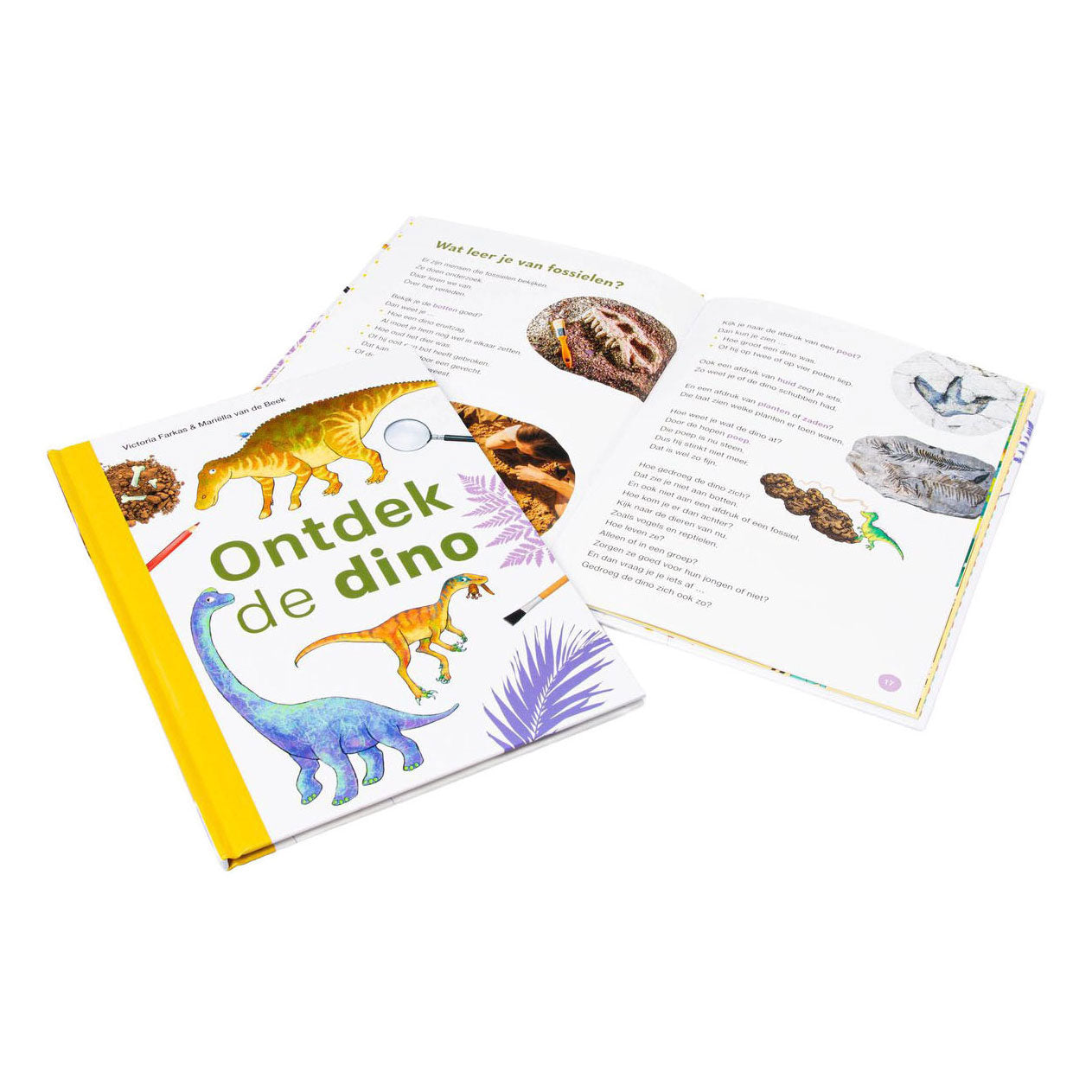 WPG Uitgevers - WPG Uitgevers Ontdek de dino - avi m4