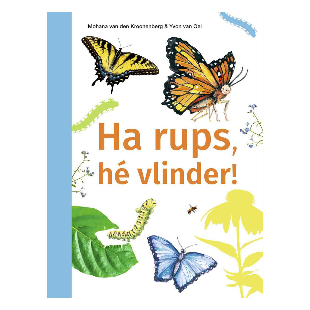 WPG Uitgevers - WPG Uitgevers Ha rups hé vlinder! - avi m4