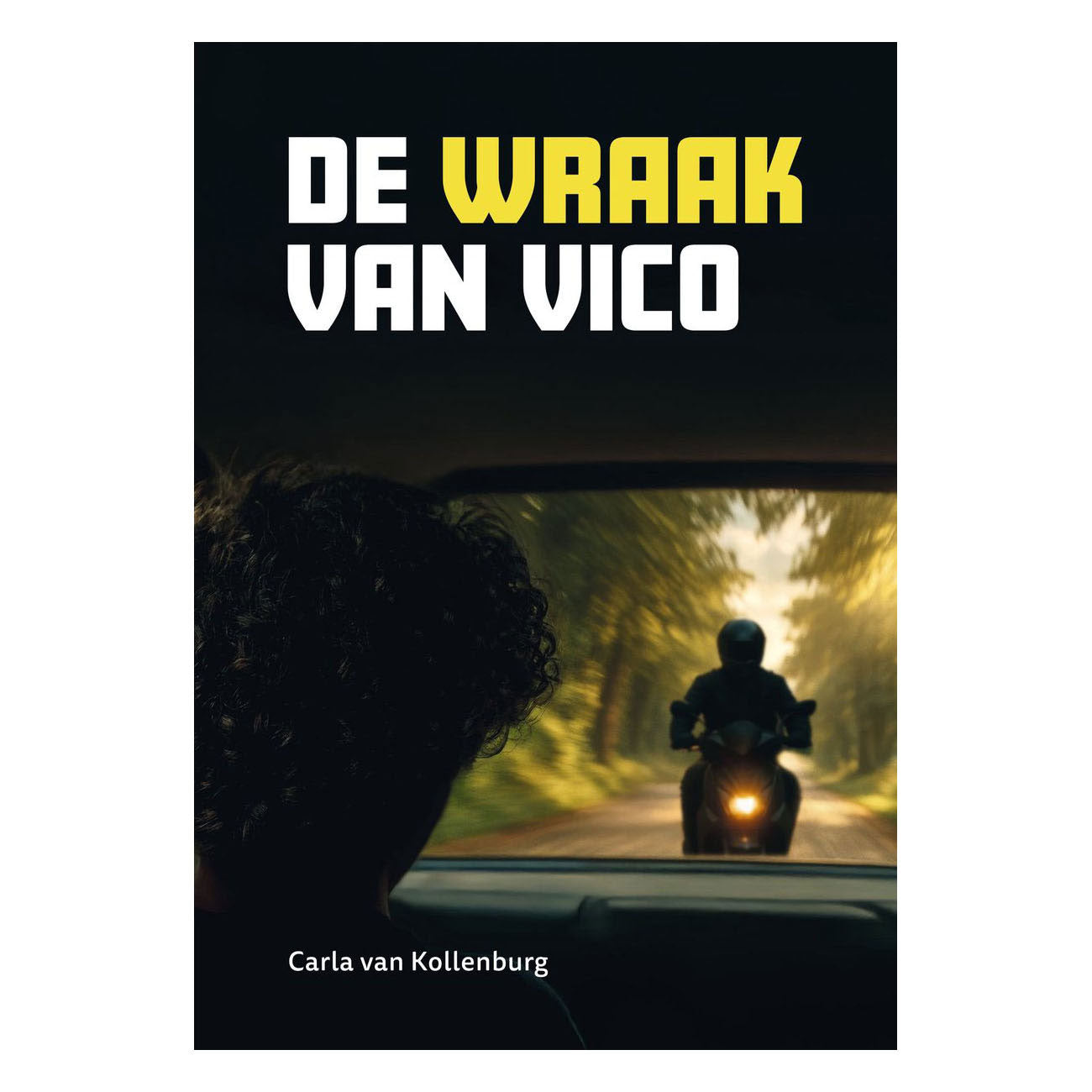 WPG Uitgevers - WPG Uitgevers De wraak van vico - avi e5