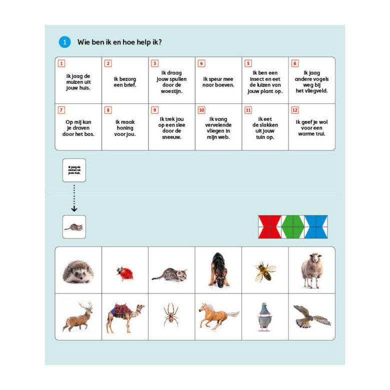 WPG Uitgevers - WPG Uitgevers mini pakket code d groep 4 - 8 titels