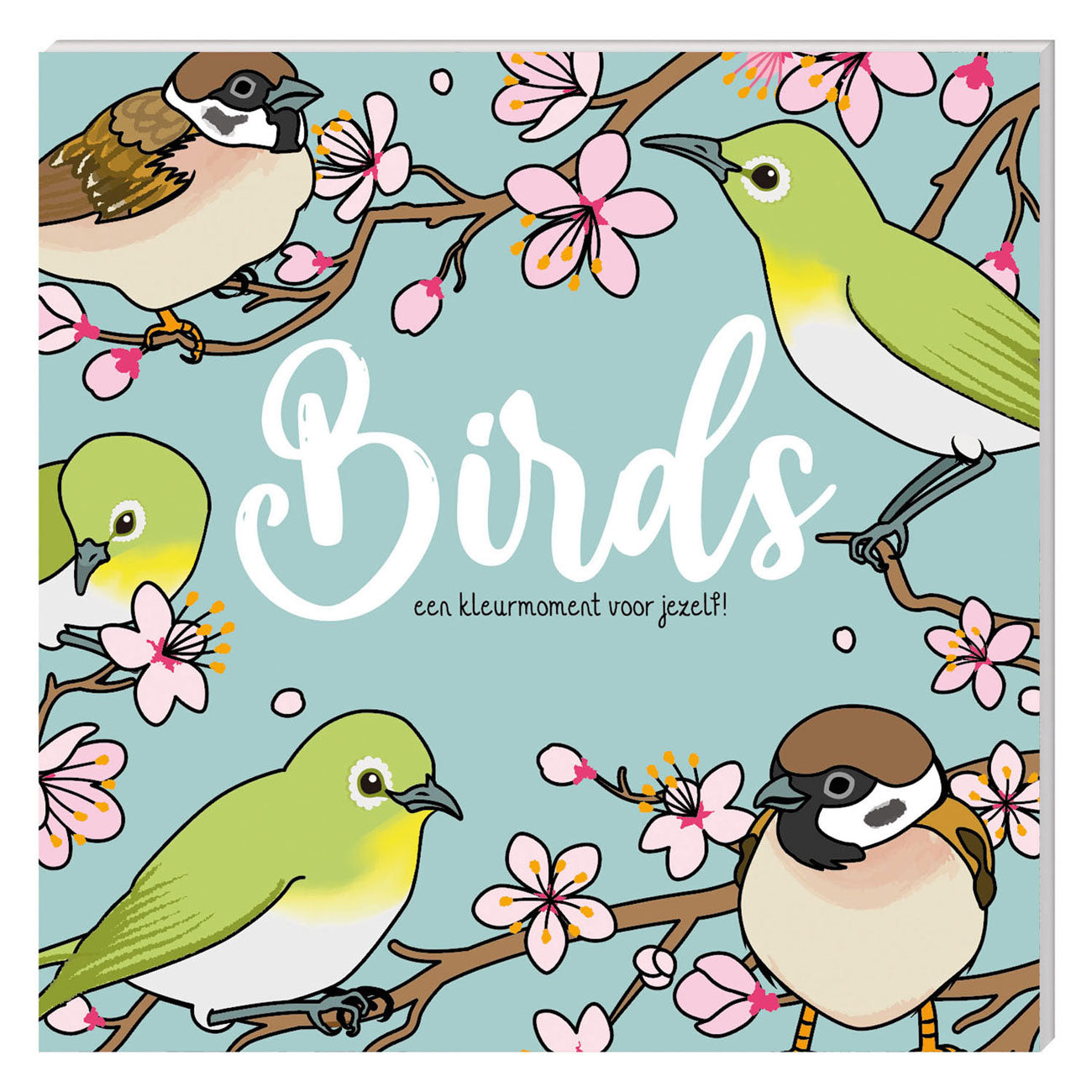 - Kleurboek - Birds Nieuw