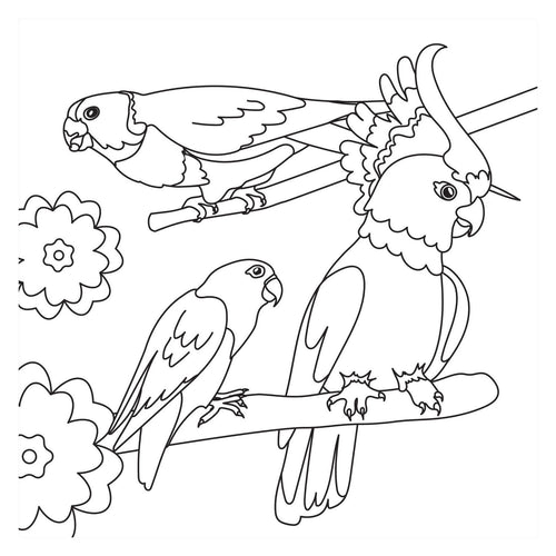 - Kleurboek - Birds Nieuw