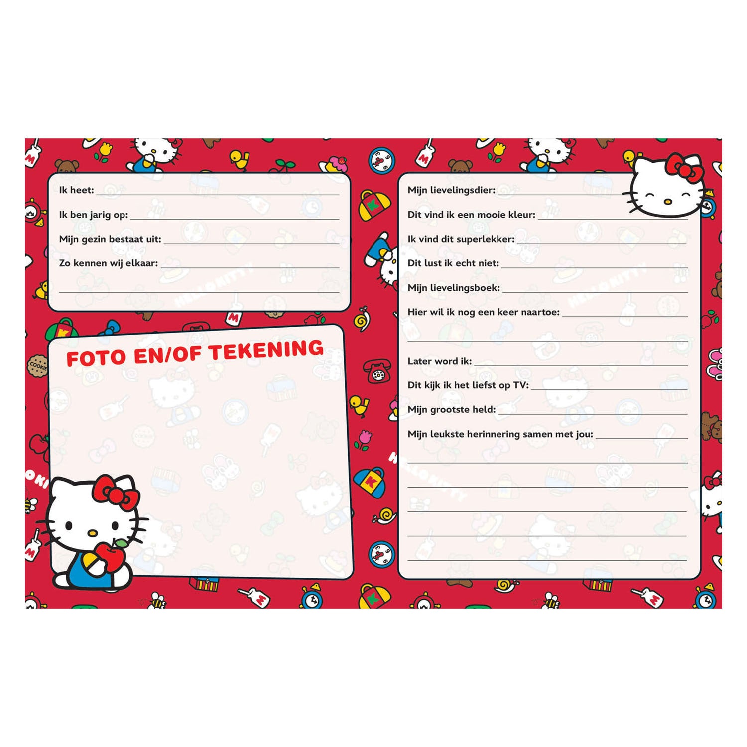 Ty - Ty Vriendenboek - hello kit nieuw