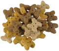 Excellent Inimini puppy 3 mix