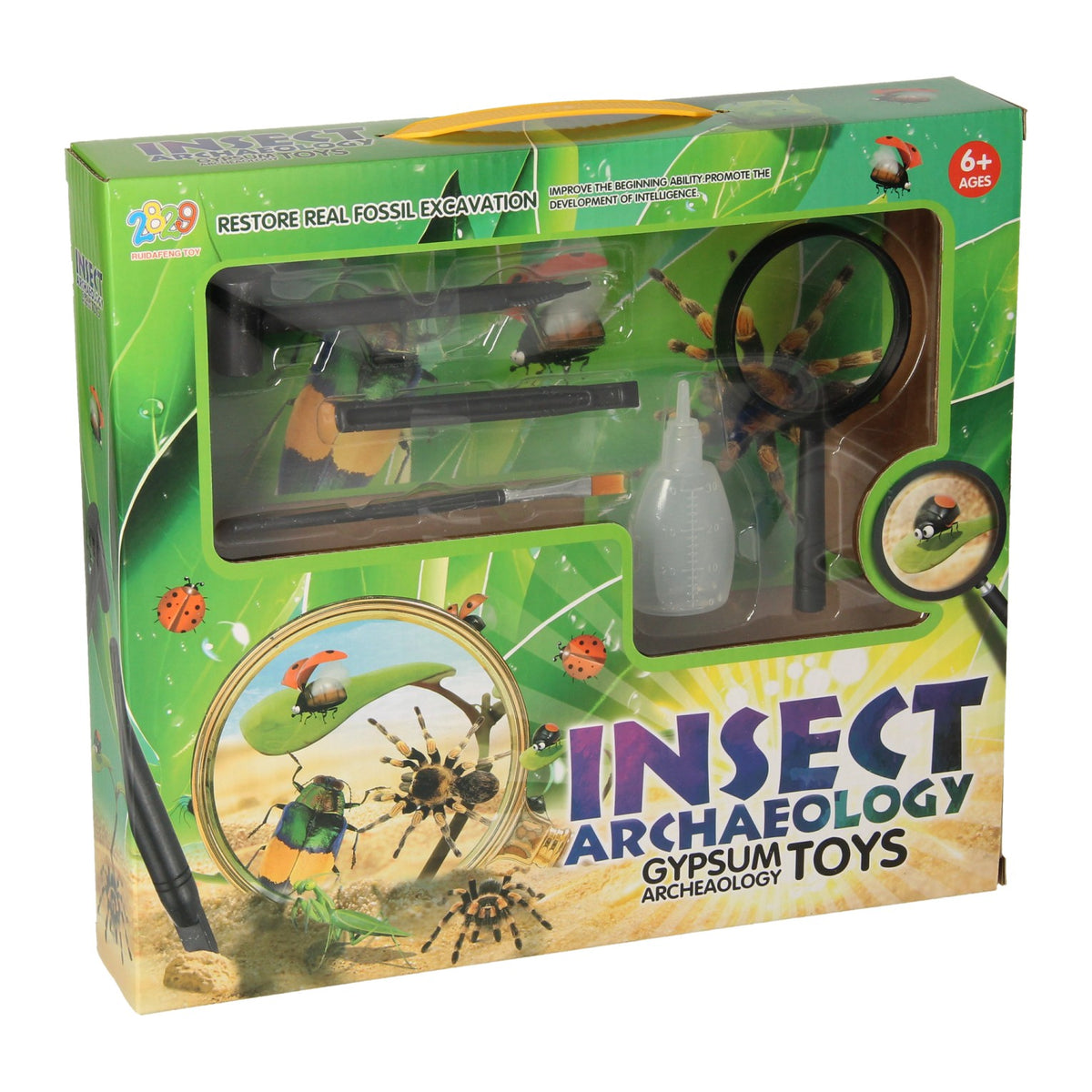 Rc - Rc Insecten aheologie