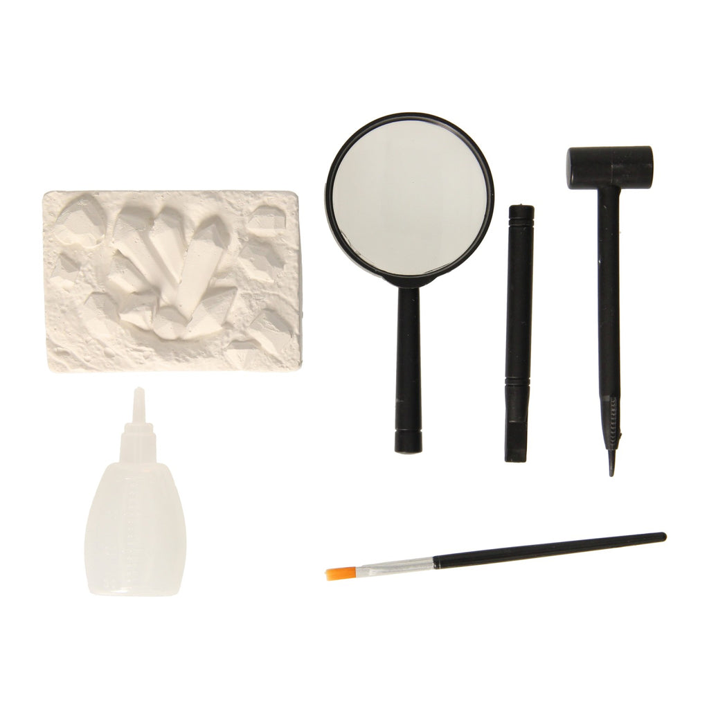 Rc - Rc Insecten aheologie