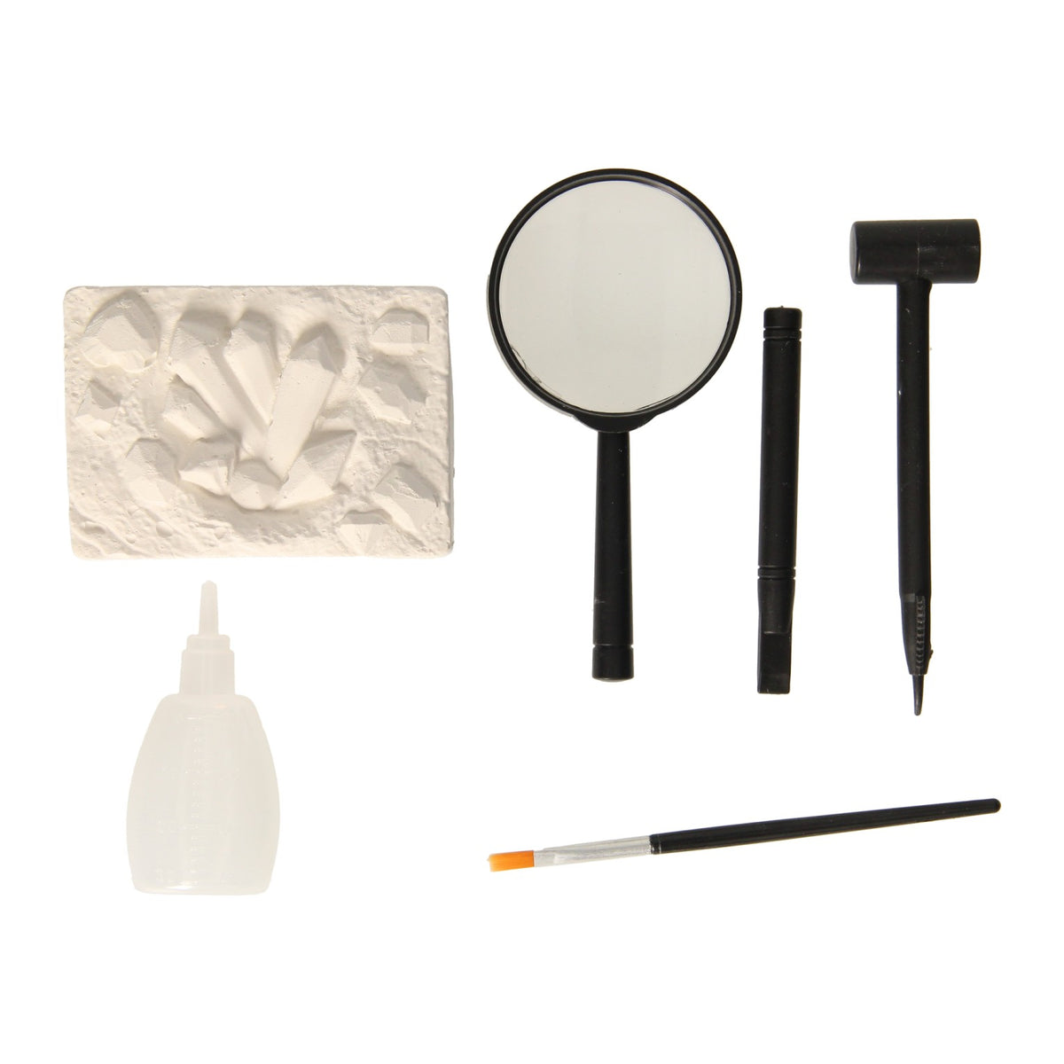 Rc - Rc Insecten aheologie
