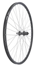 Roland achterwiel 28 craft shimano qc300 7-12v disc zwart