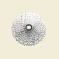Spanninga - cassette csrz800 12v 11-46t zilver