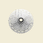 Spanninga - cassette csrz800 12v 11-46t zilver