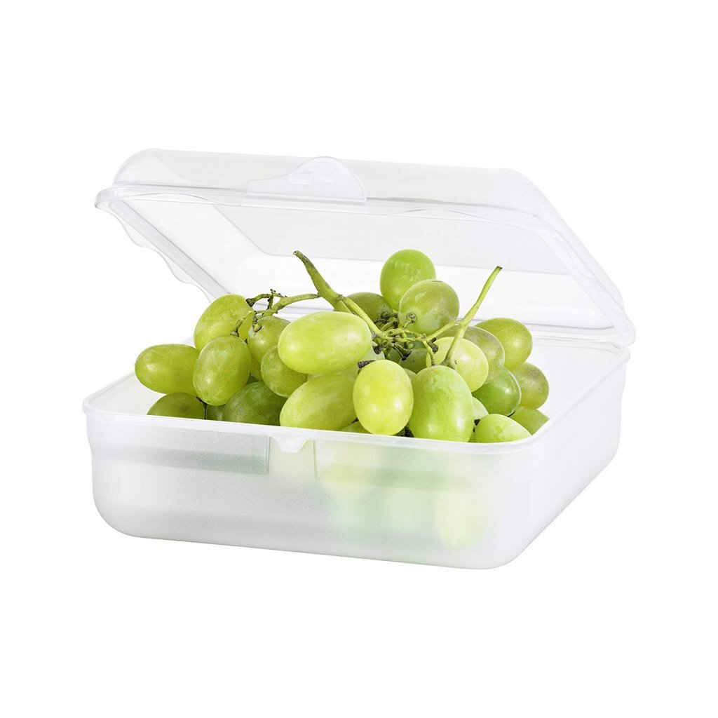 Rotho fun lunchbox vierkant 2.35l transparant