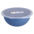 Rotho - Rotho schaal met deksel 4.8l horizon blauw
